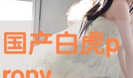 国产pron,探索国产影视作品的魅力与影响力